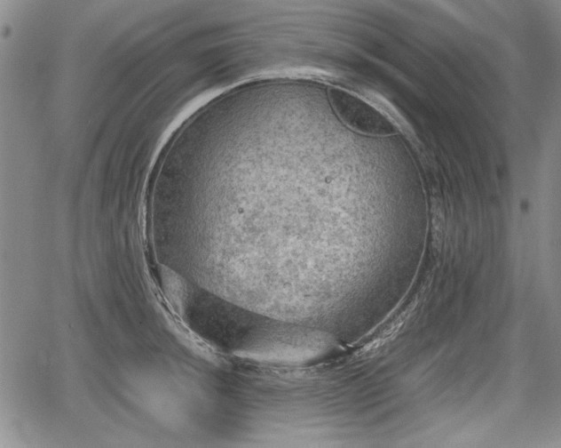 X0000067501044200604101225