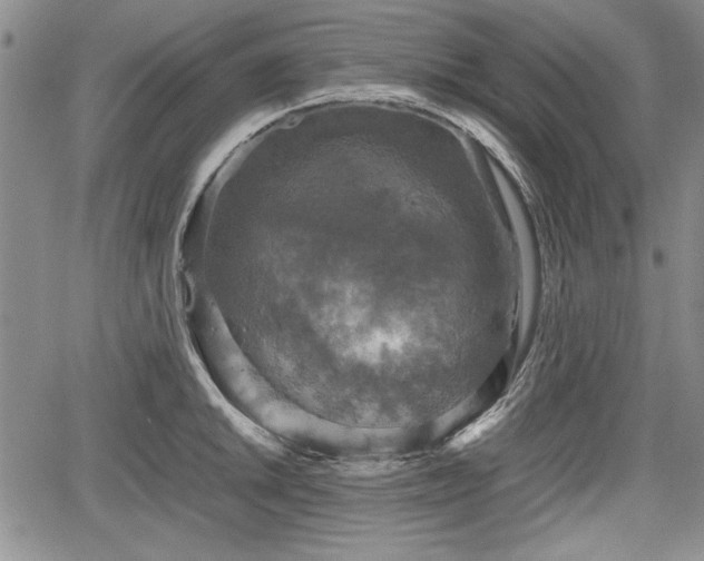 X0000067501046200604101225