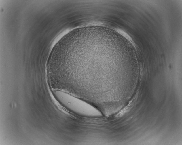 X0000067501047200604101226