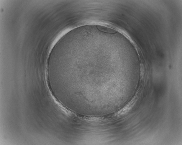 X0000067501048200604101226