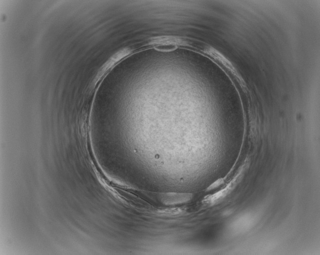 X0000067501049200604101226