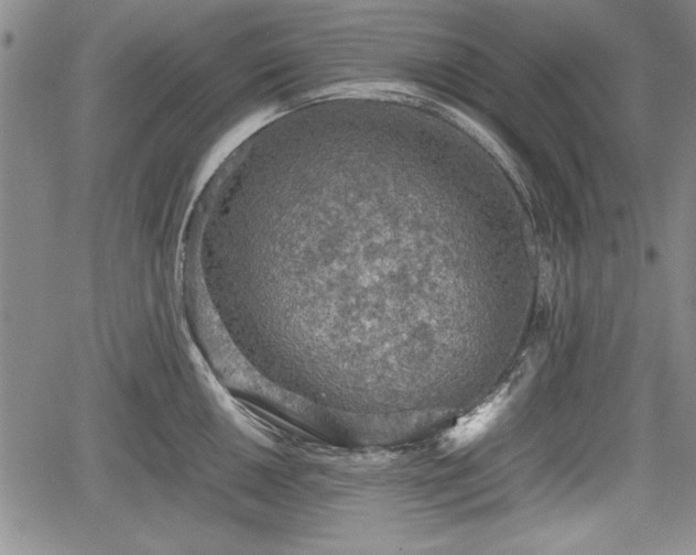 X0000067501050200604101226