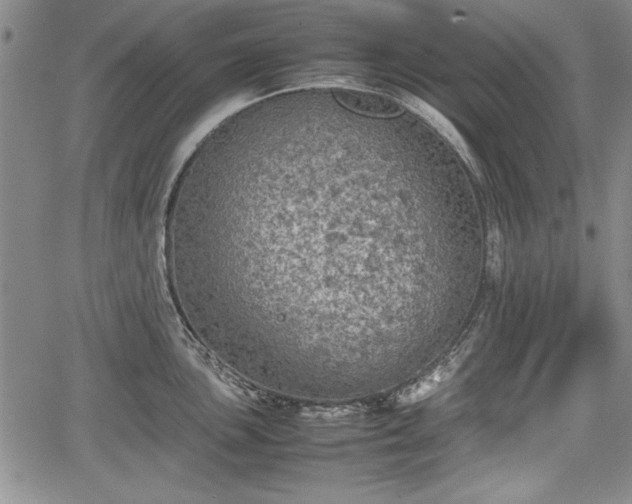 X0000067501051200604101226