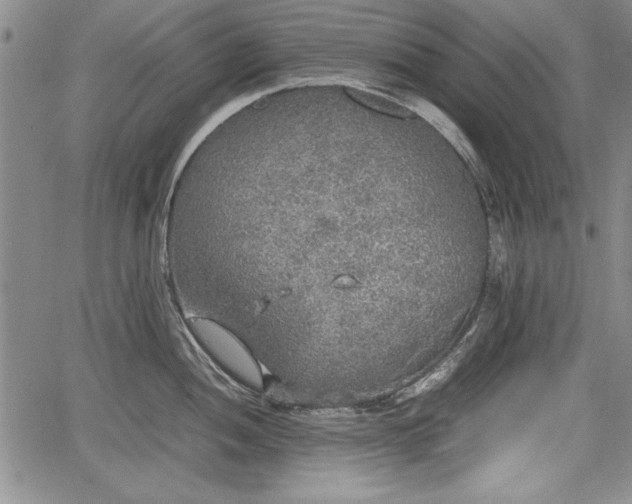 X0000067501052200604101226