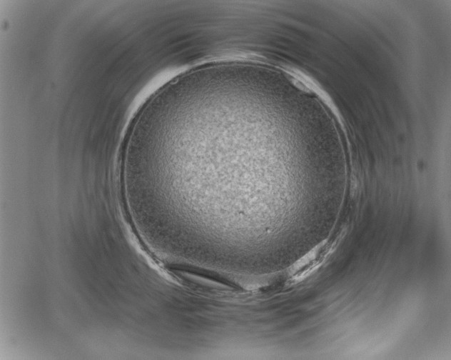 X0000067501053200604101226