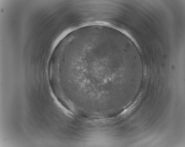 X0000067501054200604101226