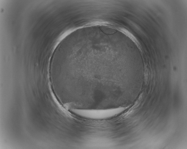 X0000067501055200604101226