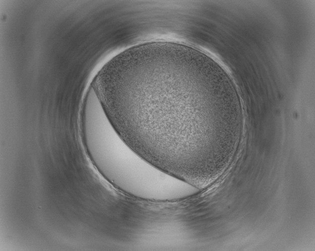 X0000067501056200604101226