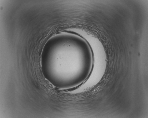 X0000067501057200604101225