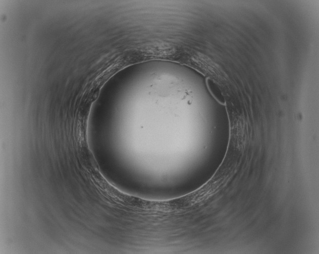 X0000067501058200604101225