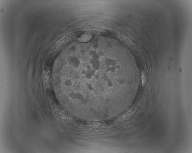 X0000067501059200604101225