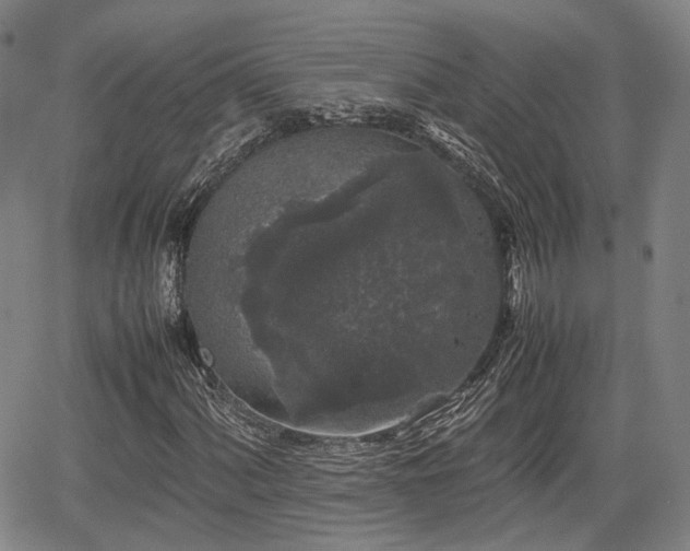 X0000067501060200604101225