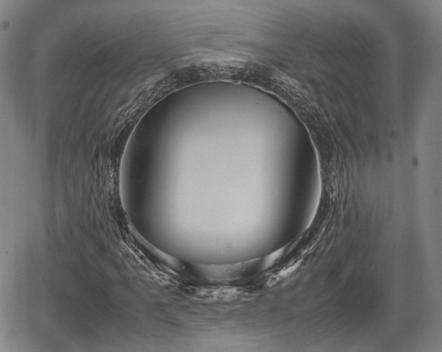 X0000067501061200604101225