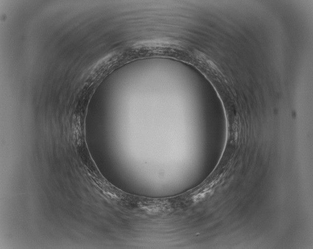 X0000067501062200604101225