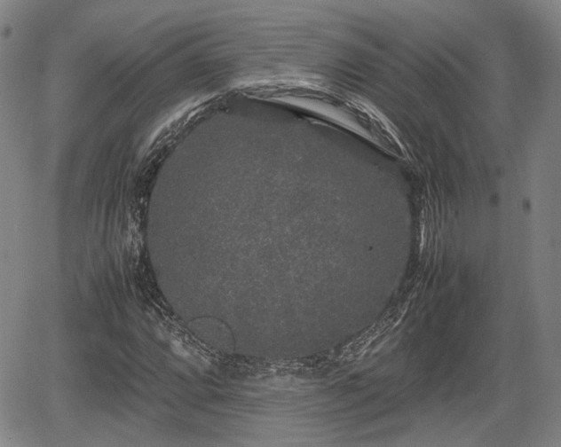 X0000067501064200604101225