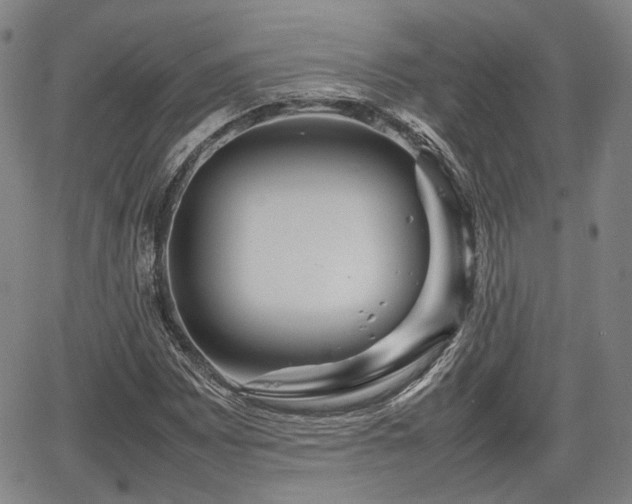 X0000067501065200604101225