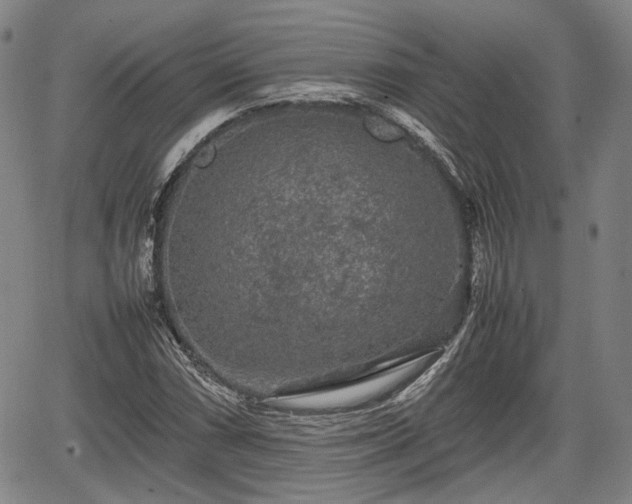 X0000067501066200604101225