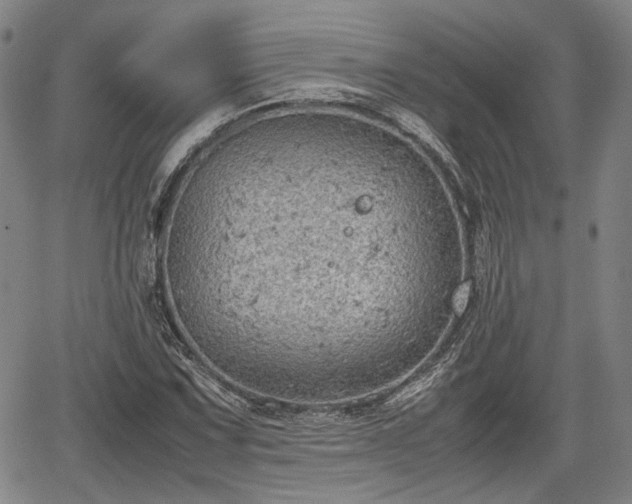 X0000067501067200604101225