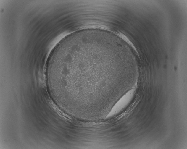 X0000067501068200604101225