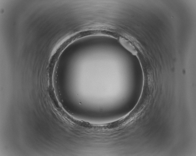 X0000067501069200604101225