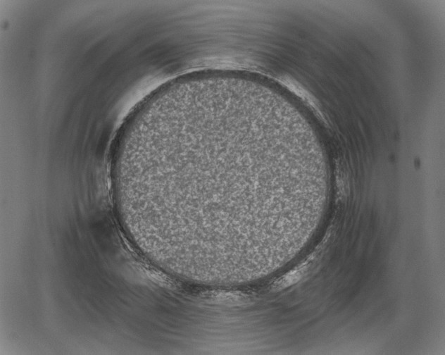 X0000067501070200604101225