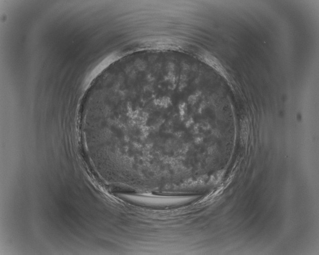 X0000067501071200604101225