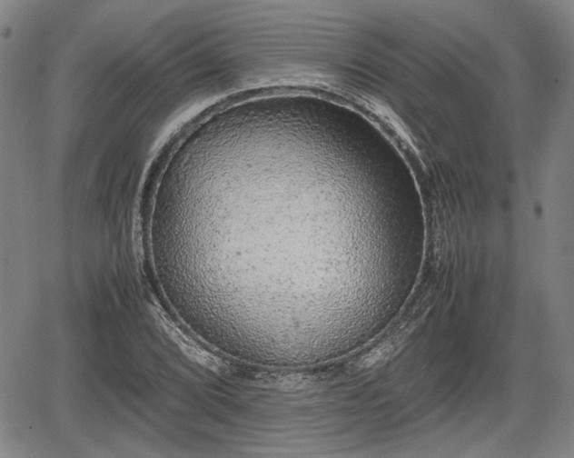 X0000067501072200604101225