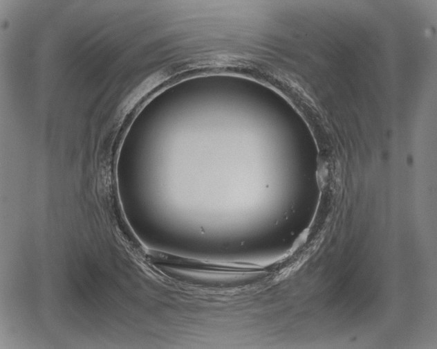 X0000067501073200604101225