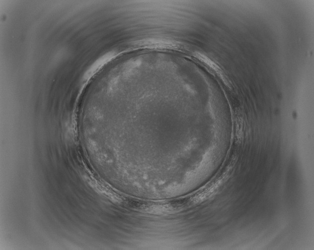 X0000067501074200604101225