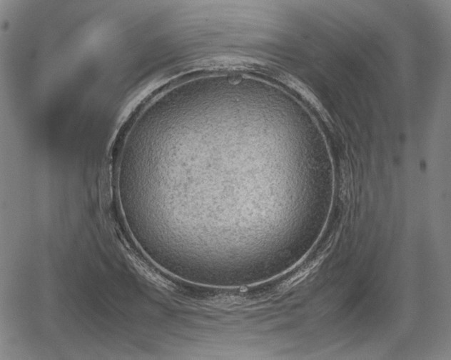 X0000067501075200604101225