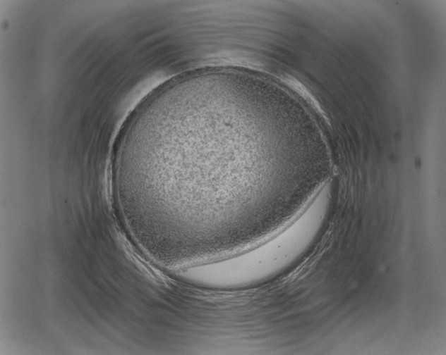 X0000067501076200604101225