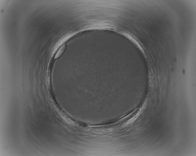 X0000067501077200604101225