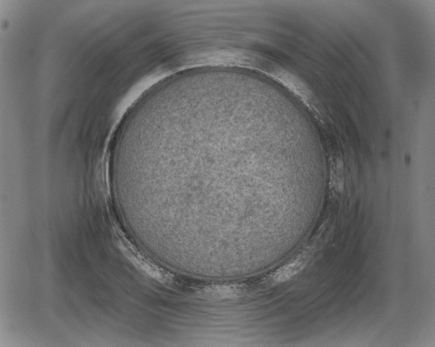 X0000067501078200604101225