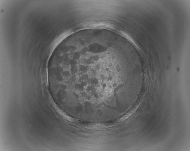 X0000067501079200604101225