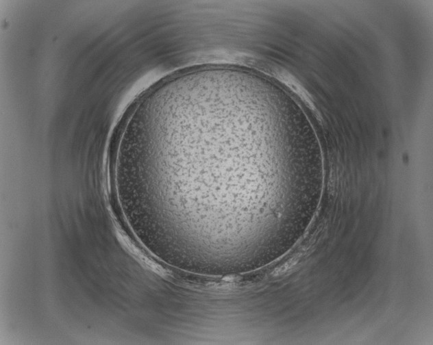 X0000067501080200604101224