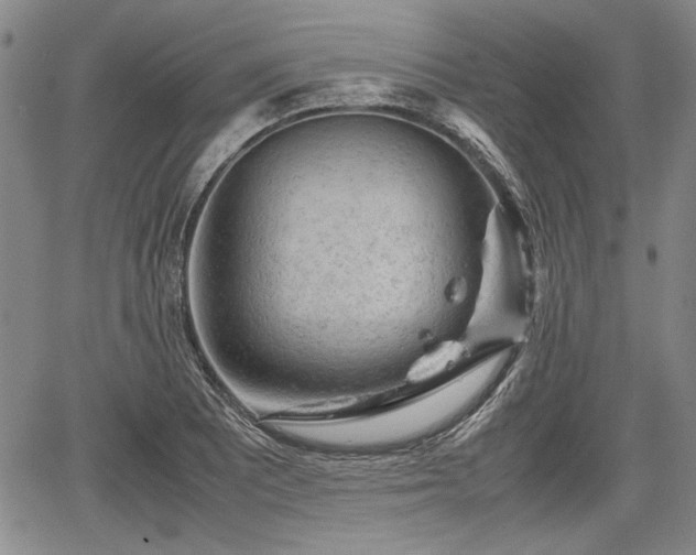 X0000067501081200604101224