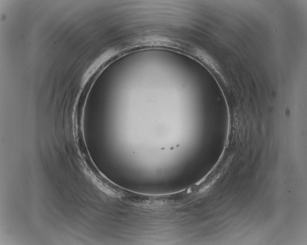 X0000067501082200604101224