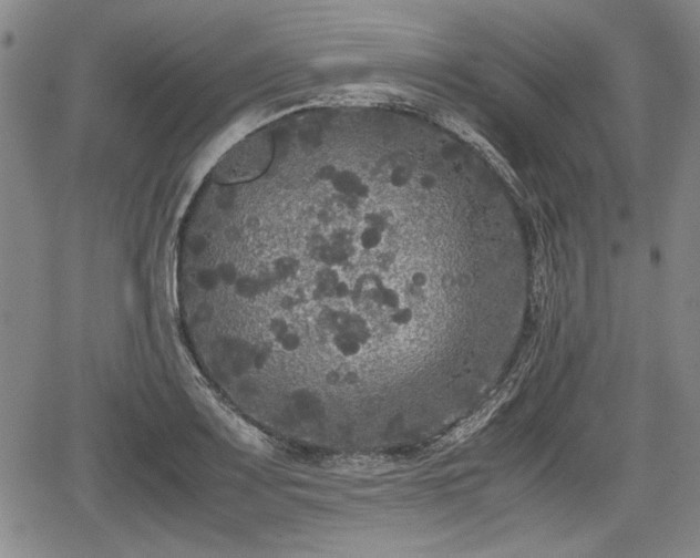 X0000067501083200604101224