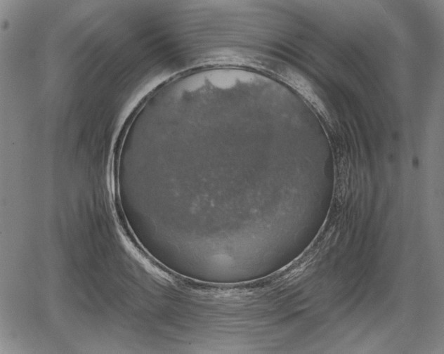 X0000067501084200604101224