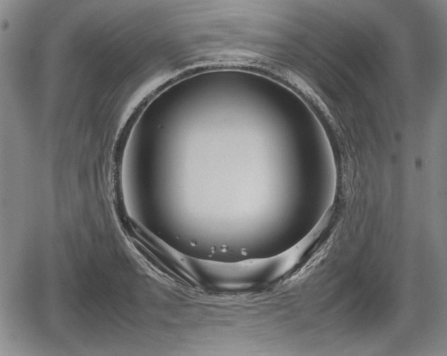 X0000067501085200604101224