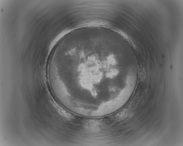 X0000067501086200604101224