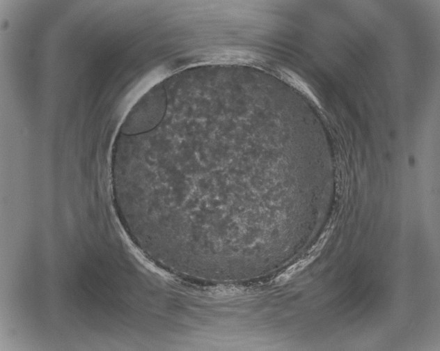 X0000067501087200604101224