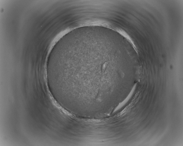 X0000067501088200604101224