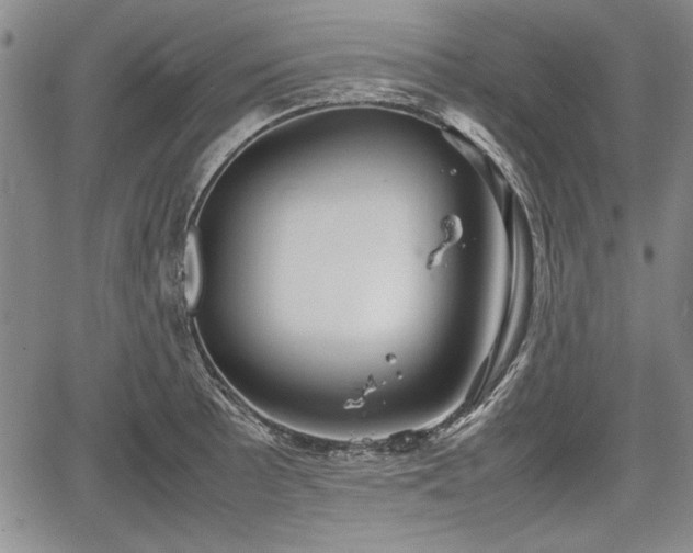 X0000067501089200604101224