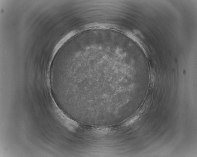 X0000067501090200604101224