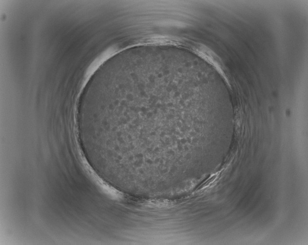 X0000067501091200604101224