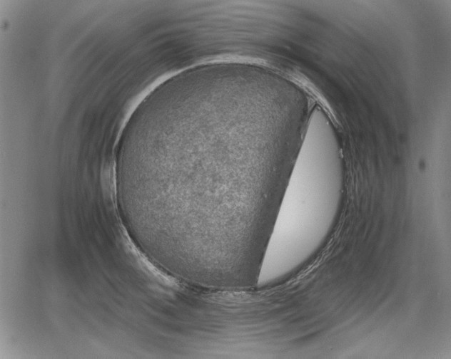 X0000067501092200604101224