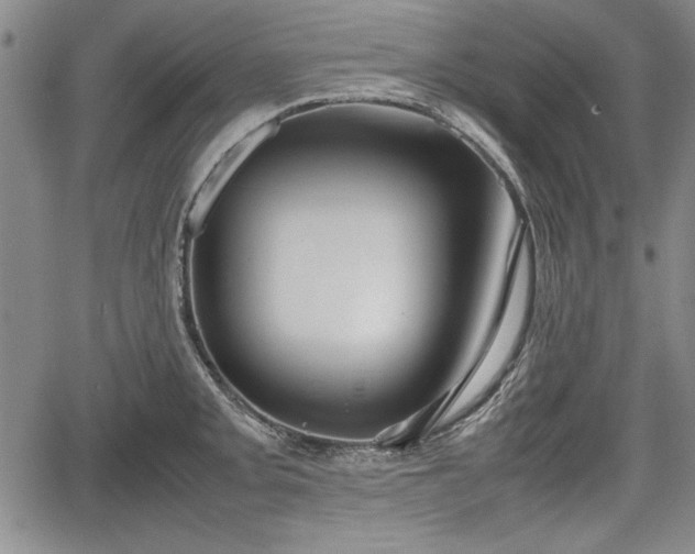 X0000067501093200604101224