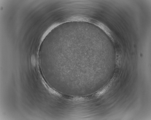 X0000067501094200604101224