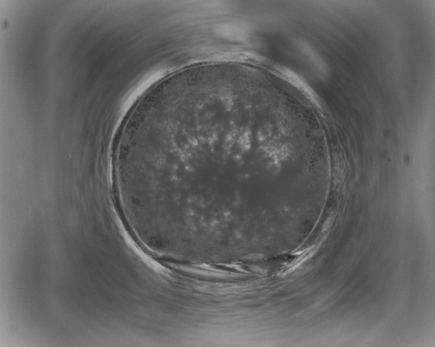 X0000067501095200604101224